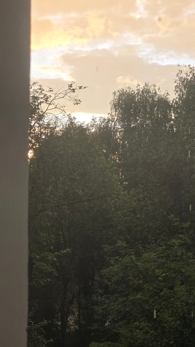 This is a photograph taken from a window in Ukhta, Russia, looking out at a densely wooded area. The sky is filled with clouds, tinted with the warm colors of sunset or sunrise. A portion of a white wall is visible in the foreground, on the left side of the frame. The trees are lush and green, with branches and leaves obscuring much of the view behind them. There are small, white flecks visible throughout the foliage, which appear to be raindrops or water droplets. The light is somewhat diffused, suggesting it might be overcast or that the sun is low on the horizon. There are no people or specific structures visible in the scene, focusing primarily on the natural elements.