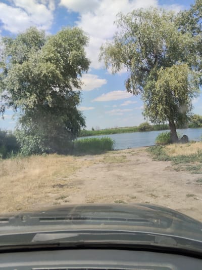 This media file depicts an outdoor scene of a body of water, likely a river, bordered by vegetation and trees. The foreground shows a dirt path and the dashboard of a vehicle, indicating the image was taken from inside a car. Two large, leafy trees dominate the left and right sides of the frame. The one on the left is fuller and rounder, while the one on the right is taller with drooping branches. In the background, the calm water stretches across the frame, with a dense line of green reeds or tall grass along the far bank. Beyond the reeds, more trees and foliage can be seen under a bright, blue sky dotted with fluffy white clouds. The lighting suggests it is daytime, possibly midday or early afternoon, with clear weather. The scene evokes a sense of natural tranquility. No people, text, or specific activities are visible. The context provided suggests the location is Bilyaivka, Ukraine.