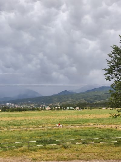 The image depicts a scenic rural landscape under a dramatic, cloudy sky, likely in Dolan, Kazakhstan. The foreground features a dry, dirt path leading to a lush green field divided by two parallel fences. The field is dotted with patches of yellow wildflowers and taller grass.

In the middle ground, a person in a red shirt rides a white horse along a fenced path. Beyond the field, a town or village is nestled at the base of rolling, verdant hills. The hills recede into the distance, with the farthest peaks shrouded in a misty, atmospheric haze. The sky is filled with heavy, gray, cumulonimbus clouds, suggesting an impending storm or recent rainfall. The overall mood is somewhat somber due to the weather, but the vastness of the landscape and the presence of the rider and horse evoke a sense of peace and solitude. There is no visible text in the image. The time of day appears to be late afternoon or early evening, given the diffused light and the color of the clouds.
