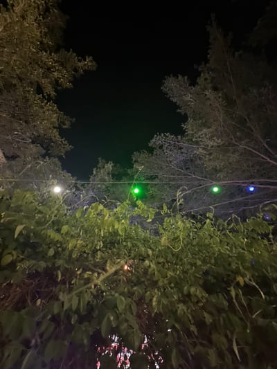 This image captures a nighttime scene at an outdoor location, possibly a garden or park, in Keudeteupinpunti, Indonesia. The foreground is dominated by dense, dark green foliage, suggesting shrubs or bushes. Above the foliage, the branches of trees are visible against a black night sky. String lights are strung between the branches, with several lights emitting green and one emitting blue. A single white light is also visible among the greenery. The overall impression is one of a dimly lit, natural setting adorned with decorative lighting.