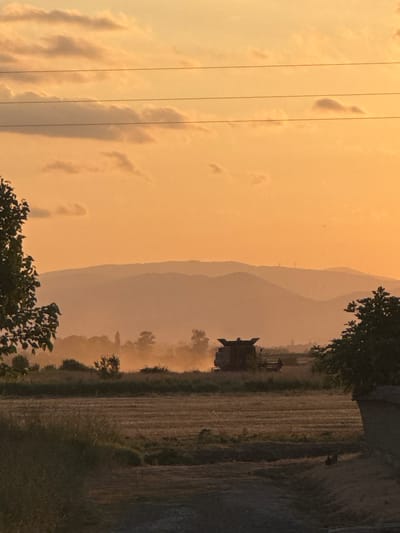 A combine harvester operates in a field of harvested crops under an orange sky at sunset. The field is in the foreground, with rows of cut grain visible. In the mid-ground, the combine harvester is working, kicking up dust. Trees and other vegetation are scattered throughout the landscape. In the background, a range of hills or mountains is silhouetted against the sky. The sky is filled with soft, wispy clouds and has a warm, golden-orange hue, characteristic of sunset. Power lines stretch across the top of the frame. The scene appears to be in the rural area surrounding Blatets, Bulgaria, given the agricultural setting and landscape.
