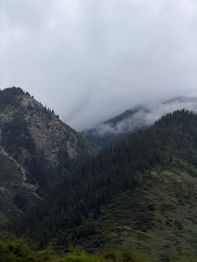 The image depicts a mountainous landscape in Barskoon, Kyrgyzstan, characterized by steep, rugged slopes covered in dense evergreen trees. The sky is overcast with thick clouds, casting a muted light over the scene. In the foreground, the lower parts of the mountains are covered in lush green vegetation, transitioning to rocky, barren inclines higher up. A ravine or valley is visible between two prominent peaks, where clouds partially obscure the upper reaches of the mountains. The overall impression is one of wild, untamed natural beauty, typical of alpine environments.