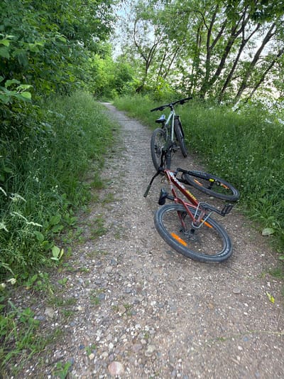 Two bicycles are parked on a gravel path in a wooded area. One bicycle, a dark red mountain bike, is lying on its side. The second bicycle, a lighter green mountain bike, is standing upright further down the path. Lush green grass and trees line both sides of the path. The path appears to be a trail in a park or natural area. The image was taken in Solnechnogorsk, Russia.