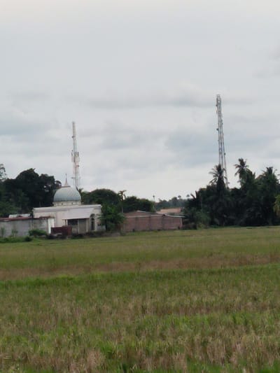 The image shows a wide shot of a rural landscape near Muliengmanyang, Indonesia, under an overcast sky. In the middle ground, a mosque with a light blue dome is visible, situated next to a low-rise building with a corrugated metal roof. Behind the mosque and building, a tall, lattice-like telecommunications tower stands prominently. To the right of the mosque, a cluster of dark green trees and palm trees are present. Further to the right, another similar telecommunications tower is visible amidst the foliage. In the foreground, a field of dry grass extends towards the viewer, with a slightly greener, lusher patch of grass on the far left. The overall scene depicts a blend of rural infrastructure and natural vegetation.