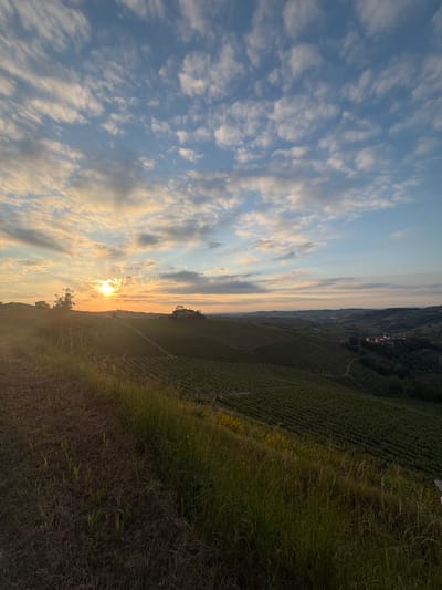 The image depicts a vineyard landscape near Santo Stefano Belbo, Italy, at sunset. The sky is filled with altocumulus clouds, tinged with golden light around the setting sun. The vineyards stretch across terraced hillsides, with rows of grape vines visible. The foreground shows grassy vegetation.
