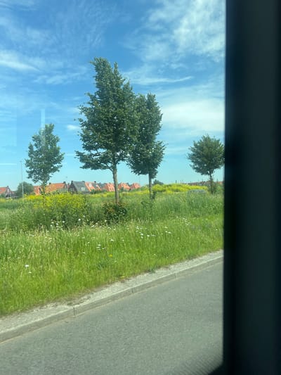 This is a medium-shot, outdoor, eye-level, slightly angled, full-color photograph taken from a vehicle, likely a bus, looking out a window. The scene depicts a suburban or rural landscape on a sunny day, with a bright blue sky filled with wispy white clouds.
In the foreground, there is a paved road with a concrete curb bordering a lush, green grassy verge. The verge is dotted with small white and purple wildflowers, and taller, yellow wildflowers are visible further back in the grass.
Beyond the grassy verge, several mature trees with full, green canopies stand in a line. Behind the trees, a row of houses with orange-tiled roofs and some with solar panels are visible. The houses appear to be modern suburban dwellings. In the distance, the landscape is flat and green, stretching towards a hazy horizon.
To the right of the frame, a dark, vertical element, likely the window frame or pillar of the vehicle from which the photo was taken, obscures a portion of the view.
The photograph captures a tranquil, sunny day scene. The location is identified as Leeuwarden, Netherlands.