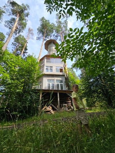 In the city of Ulitkino, Russia, a low-angle shot captures a unique wooden structure resembling a multi-story tower, possibly a treehouse or observation deck, nestled within a dense forest. The structure, clad in gray wood siding, features multiple levels with numerous windows, topped by a octagonal section with a metallic roof. Surrounding the tower are tall, slender pine trees reaching towards a bright blue sky dotted with white clouds, and lush green foliage from deciduous trees. In the foreground, a young boy, wearing a yellow t-shirt and khaki shorts, stands partially obscured by tall grass, looking towards the camera. The ground beneath the structure is visible, showing stacked firewood. The overall scene depicts a natural, somewhat rustic setting with a distinctive architectural element.