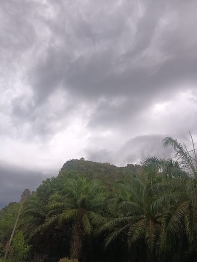 The image depicts a cloudy sky over a landscape in Pak Phraek, Thailand. The sky is filled with dark gray clouds, indicating a potentially overcast or stormy weather. In the middle ground, a hill or small mountain covered in green vegetation is visible. Palm trees dominate the foreground, adding a tropical element to the scene. The lighting appears diffused due to the cloud cover. A few electrical poles are also visible.