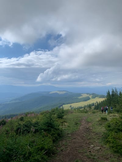 The image depicts a mountainous landscape in the region of Vorokhta, Ukraine, viewed from an elevated perspective under a partially overcast sky. A winding dirt path, visible in the foreground, extends toward the middle ground. To the left of the path, the immediate foreground contains dense green bushes, small conifer saplings, and scattered pink wildflowers. In the middle ground, a group of four individuals, observed from behind, walk along the dirt path, each carrying a backpack, indicative of hiking. The path is flanked on its right by a line of mature conifer trees. The background features successive ridges of forested mountains fading into the distance with atmospheric haze, showcasing areas of dense dark green conifer forest and lighter green clearings on higher elevations. Large grey and white clouds dominate the sky, with intermittent patches of blue visible.