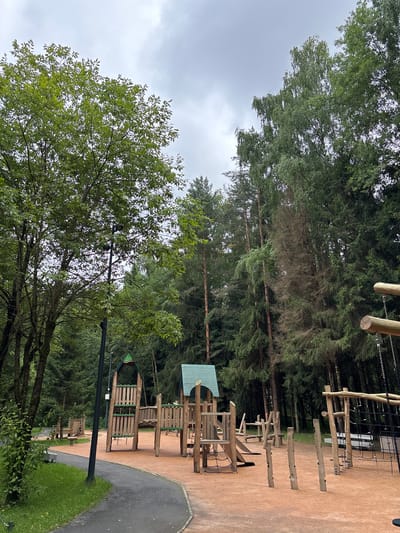 The image shows a playground located in a wooded area. The playground features wooden structures, including climbing frames, slides, and balance beams. The ground of the playground is covered with a soft, orange material. The area is surrounded by tall trees, and the sky is overcast. The location is identified as Pavlovskaya Sloboda, Russia. There are no people visible in the image. The scene is a typical outdoor playground designed for children's recreation.