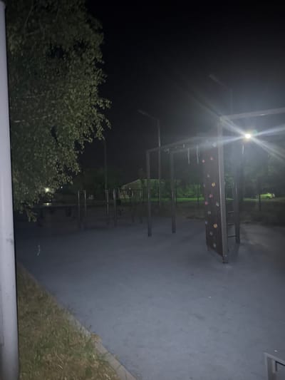 This image depicts an outdoor fitness area at night in Egorlykskaya, Russia. A metal structure with horizontal bars and a climbing wall is visible. The ground is paved, and there is grass and trees in the background. A street light illuminates the scene, casting long shadows. There are no people or animals present in the image. The overall impression is one of quiet, deserted, and somewhat eerie atmosphere due to the darkness and artificial lighting.