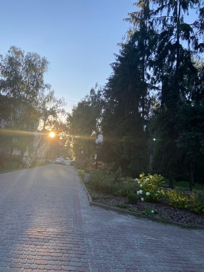 This image depicts a paved walkway lined with trees and vegetation, leading towards a street with parked cars and buildings. The sun is setting, casting a warm glow and creating lens flares on the left side of the image. Two individuals are seated on a bench on the left side of the walkway, facing the street. A lamppost with multiple white globes stands on the right side of the walkway, near a flower bed with white blooms. The location is identified as the city of Nyzhni Mlyny, Ukraine. The sky is clear and blue.