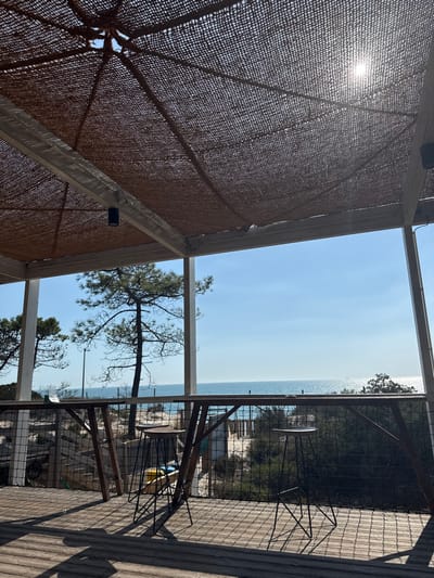The image depicts an elevated outdoor deck or terrace, likely part of a coastal establishment in Grândola, Portugal, overlooking a sandy beach and the Atlantic Ocean. A woven, reddish-brown mesh canopy provides shade overhead, supported by light-colored wooden beams. Sunlight filters through the canopy, creating distinct shadows on the wooden plank flooring. A black cylindrical light fixture is mounted on a beam on the left.
The foreground features two dark-colored bar stools with slender metal bases and round wooden seats, positioned at a light-colored wooden bar/counter that runs parallel to the view. No individuals are present.
Beyond the railing, a natural environment is visible. Pine trees are prominent, with one large, distinctive tree standing towards the center-left. Below the deck, a sandy dune area with sparse vegetation and some dark netting is visible. Further out, the calm, blue ocean extends to the horizon under a clear sky. Sunlight glints off the water on the right, and a faint silhouette of a vessel is discernible on the distant horizon. The scene is illuminated by bright daylight.