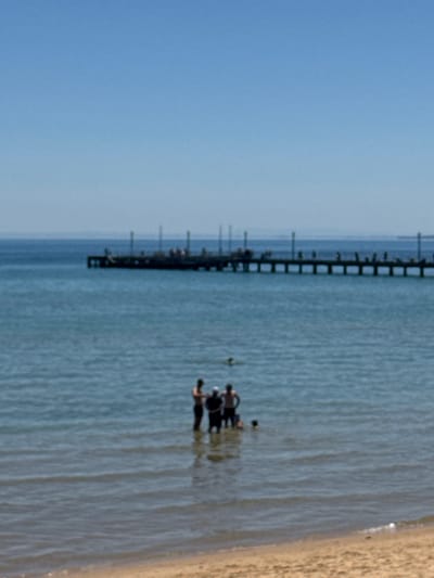 This image depicts a sunny daytime scene at a beach, likely in Frankston, Australia, as per the provided context. The photograph captures a serene coastal environment with a pier, calm waters, and a sandy shore.

In the foreground, a group of approximately four to five individuals is visible in the shallow, clear, light blue-green water. They appear to be wading or standing, enjoying recreational time near the shoreline. Their figures are silhouetted or indistinct due to the distance and image quality, but they are clearly interacting with the water.

Stretching horizontally across the midground and extending into the distance is a long wooden pier or jetty, supported by numerous vertical posts. The pier structure is dark against the lighter water and sky. The water around the pier and near the shore exhibits subtle ripples and reflections.

To the right of the frame, a strip of light brown, sandy beach is visible, indicating the edge of the land. The sky, which occupies a large portion of the upper-left of the image, is a clear, bright blue, suggesting fair weather. There is no visible text in the image. The overall impression is one of leisure and tranquility on a pleasant day. The image itself is somewhat blurry and grainy.