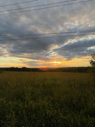 The image depicts a natural scene, possibly during sunset, with a field of grass to the right and a sky filled with clouds and the sun breaking through to the left. Several power lines stretch horizontally across the sky, creating a geometric contrast with the organic forms of the landscape.
The field appears to be tall grass with some flowering plants, suggesting a rural or natural setting. The sky is dramatic, with dark clouds tinged with golden and orange light from the setting sun. A lens flare, a circular reddish-orange reflection, is visible in the sky, indicating the direct sunlight. The time of day is clearly either sunrise or sunset due to the quality of the light and cloud coloration.
The overall mood is serene and somewhat dramatic due to the interplay of light and shadow. The presence of power lines suggests human infrastructure in proximity to the natural environment. The location is identified as Мартемьяново, Russia. There is no visible text in the image.