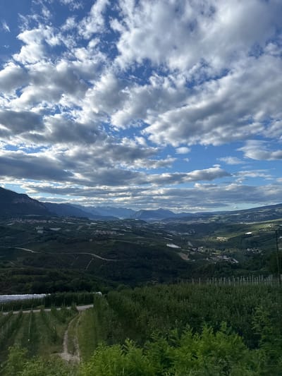 The image is a wide-angle, elevated view of a rural landscape under a partly cloudy sky. The foreground features rows of trees, likely an orchard, with a dirt path winding through them. Beyond the orchard, the land slopes down into a valley dotted with scattered buildings and agricultural fields, appearing as patterned green and white sections. Further in the distance, more rolling hills and mountains are visible, with a hazy, mountainous horizon. The sky is a vibrant blue, interspersed with dramatic, textured clouds that cast shadows across the landscape. The overall impression is one of natural beauty and agricultural cultivation within a mountainous region. The location is identified as being in the city of Spormaggiore, Italy.