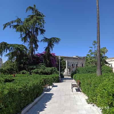 The image shows a sunlit park with a paved pathway lined with manicured green hedges and benches. Large trees, including a tall palm tree and several coniferous trees with drooping branches, dominate the background. In the distance, a stone monument with a statue is visible, as well as historic buildings. The sky is clear and blue. A person with curly red hair is partially visible behind the hedges on the left. A timestamp at the bottom right corner of the image reads "06.07.2020 09:58". This location is identified as Piazza Felice Scarce in Ruvo di Puglia, Italy.