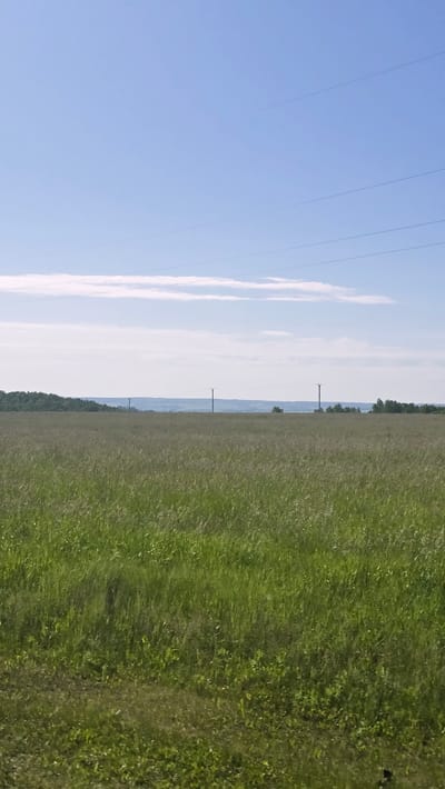 The image shows a wide, flat landscape dominated by a vast field of tall green grass under a clear blue sky. A few wispy white clouds are visible near the horizon. In the distance, a treeline forms a dark green band across the landscape. Several tall, slender utility poles with wires stretched between them are scattered across the scene, some appearing in the field and others on the distant horizon. The overall impression is one of open, rural space on a bright, sunny day. The location is identified as a field in the vicinity of Актюбинский, Russia, which is a known settlement in the Astrakhan Oblast.