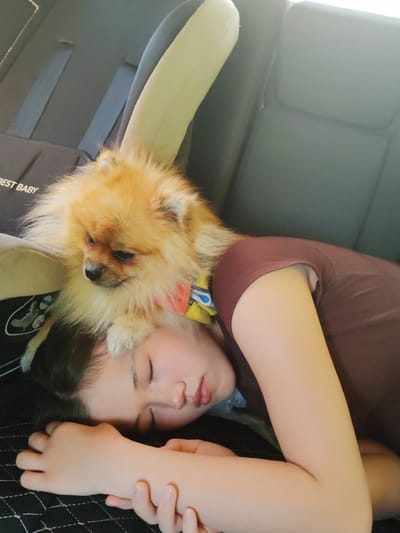 A Pomeranian dog rests its head on the forehead of a young person who is sleeping, with their eyes closed and their head resting on their arm. The dog is light orange in color and wears a colorful collar. The person is wearing a brown t-shirt and has dark hair. They appear to be in the back seat of a vehicle, with dark-colored car seats visible. A black bag with the words "BEST BABY" printed on it is also visible. The lighting suggests it is daytime.