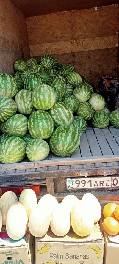 In the city of Besagash, Kazakhstan, a truck bed is filled with a large quantity of watermelons. The watermelons are predominantly green with darker green striped patterns, varying in size and shape. They are piled high, suggesting a wholesale or market setting. In the foreground, on a wooden platform, a few melons, possibly cantaloupes or honeydew melons, are visible along with some oranges. The truck's license plate, "991ARJO," is partially visible. The overall scene depicts a vibrant display of fresh produce.