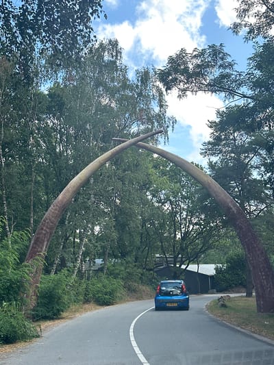 The image captures a road curving through a wooded area, under a large, arching structure that resembles a pair of tusks or horns. A small, blue car with license plate "41-NJR-3" is driving away from the camera on the road. The environment is lush with green trees and vegetation under a partly cloudy sky. In the background, some buildings with dark roofs are visible amongst the trees. The scene is identified as being in the Beekse Bergen Safari Park, located in Hilvarenbeek, Netherlands, a location known for its animal enclosures and naturalistic landscapes.