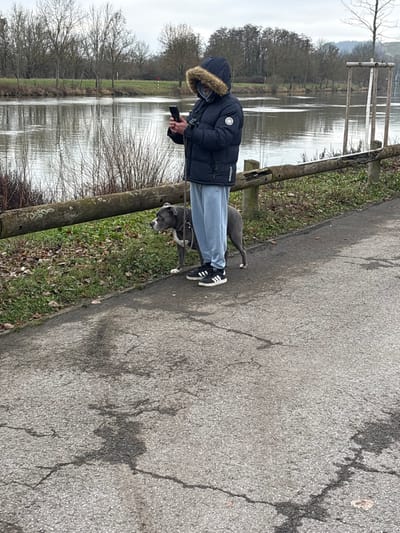 The image depicts an outdoor scene in Bech-Kleinmacher, Luxembourg, along what appears to be a riverbank or canal path on an overcast day. A single individual stands on a cracked asphalt path, positioned to the right of a weathered wooden rail fence. The person is wearing a dark blue or black puffer jacket with a prominent fur-lined hood pulled over their head, obscuring most of the face except for a visible beard. Light grey sweatpants and black Adidas sneakers with white stripes complete the attire. Both hands are holding a dark-colored smartphone, with the person looking down at the device. A dark object, possibly binoculars or a camera, is suspended from the person's neck. To the person's left, a grey American Pit Bull Terrier or similar breed stands on a dark leash attached to a harness. The dog is looking left, away from the camera, near the base of the wooden fence amidst sparse ground cover. Beyond the fence, a calm body of water, likely the Moselle River, reflects the grey sky and distant trees. The far bank is lined with numerous leafless deciduous trees, behind which rolling hills rise under a uniformly cloudy sky. The ground between the fence and the water is covered in sparse vegetation and brown leaves.