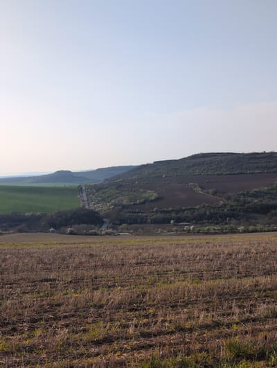 The image depicts a landscape in the vicinity of Sadina, Bulgaria. A recently harvested field occupies the foreground. The field is characterized by stubble and sparse patches of green vegetation. Adjacent to the field is a dense, tree-lined ridge, with sections of green field visible through the trees, suggesting variations in foliage and terrain. A bridge structure can be seen spanning a gap in the wooded area. The sky is a clear, pale blue.
