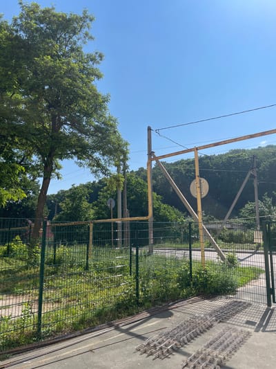 The image shows a view of a green metal fence in front of a wooded area under a clear blue sky. A large tree with green leaves stands to the left of the frame. Behind the fence, there is an area with overgrown grass and some smaller trees. In the background, a dense forest covers a hillside. A yellow metal structure with diagonal supports and a round sign is visible, along with utility poles and wires. In the foreground, rebar is laid out on a concrete surface. The location is identified as Solnechnaya Polyana, Russia. There are no people or animals visible in the image. The scene appears to be a public outdoor space, possibly a park or the edge of a developed area bordering a natural landscape.