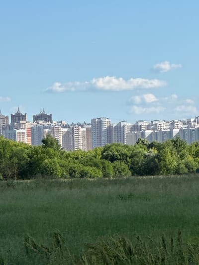 In a distant view from a field of tall green grass, a dense line of mature green trees forms a natural barrier. Behind the trees, a sprawling cityscape of multi-story buildings with varied architectural styles stretches across the horizon under a clear blue sky dotted with white clouds. The buildings range from apartment complexes with repeating window patterns to structures with more distinct decorative elements, including two prominent dark-colored buildings with pointed roofs in the center. The scene depicts a tranquil day in the city of Dubrovitsy, Russia, where urban development meets a lush, natural landscape.