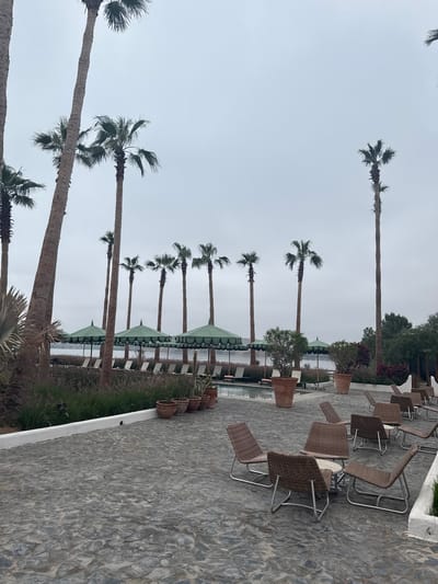 This image presents a serene outdoor scene, likely a resort or hotel area in Lalla Takarkoust, Morocco, captured on an overcast day. The setting is tranquil, devoid of any people.
The main subjects include a prominent row of tall palm trees with green fronds, stretching across the left and middle ground of the frame. Their slender trunks rise towards a uniform, light gray sky, indicating cloudy weather or a diffused light environment.
To the right, an outdoor seating area is visible, featuring numerous chairs made of a woven, wicker-like material with silver-colored metal frames. Several light-colored, round tables are interspersed among the chairs. The ground in this area is paved with irregular, textured dark gray and black stones. Along the edge of the paved surface, several large, terracotta-colored planters contain various green plants.
In the mid-ground, behind the line of palm trees and seating, multiple green-domed structures, possibly umbrellas or small gazebos, are arranged over what appear to be sun loungers next to a body of water, likely a pool or a lake. Beyond these structures, a dense cluster of various green foliage and trees, including some with reddish-purple leaves, forms a lush natural backdrop.
The soft, even lighting, without strong shadows, suggests an overcast sky, possibly during the day or late afternoon. No specific activity is taking place, and there is no visible text in the image.