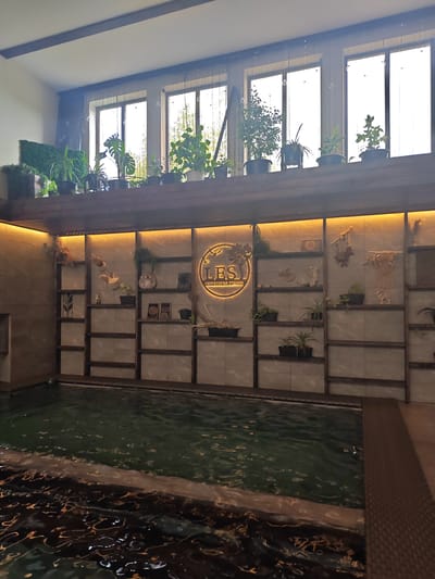 The image shows an indoor swimming pool area with a wall of shelves and plants. The pool is filled with dark green water and has a brown textured edge. Above the pool, a wooden shelf holds numerous potted plants. Behind the plants are several large windows allowing natural light to enter. The wall behind the shelves is tiled and features a lit circular logo with the text "LES ТЕРРИТОРИЯ ОТДЫХА". Various decorative items and plants are placed on the shelves, including what appears to be a macrame wall hanging and ceramic figures. The overall ambiance suggests a relaxation or spa-like setting. The location is specified as Mokhovichki, Russia.