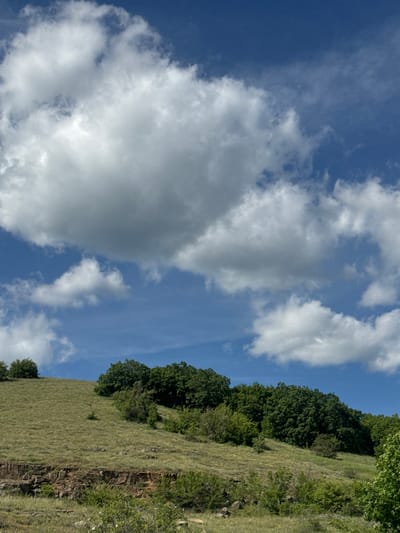 The image shows a landscape scene, likely taken in the Dragovishtitsa area of Bulgaria. The foreground depicts a grassy hillside, partially covered with dense green trees and shrubs. A rocky outcropping borders the edge of the slope. Above the hillside is a vibrant blue sky filled with puffy white clouds. There are no people visible in the frame. The landscape suggests an outdoor location in a hilly or mountainous region.