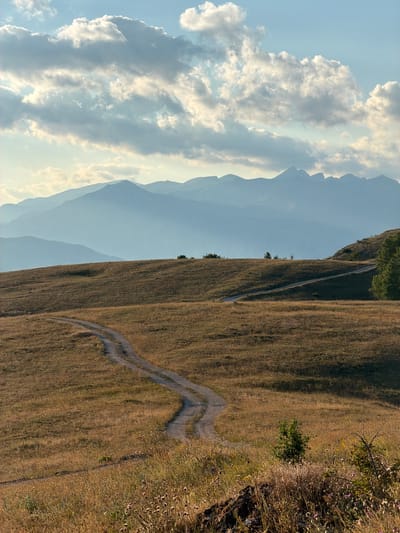 This is a vertical, full shot of a rural, mountainous landscape in Dubljevići, Montenegro. In the foreground, a winding dirt road cuts across a grassy, sun-drenched hillside. The grass is a mix of dry yellow and green with scattered wildflowers. In the mid-ground, another section of the dirt road curves up a gentler slope, disappearing behind a rise. Beyond the hills, a series of layered mountains fade into a soft blue haze in the distance. The sky is a clear light blue with scattered, bright white clouds. The overall scene evokes a sense of peaceful isolation and natural beauty. There are no people or animals visible in the image.