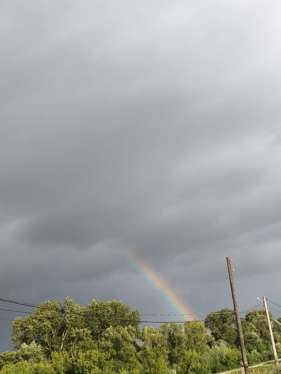 The image captures a rural landscape in Mokshan, Russia, under a dramatically overcast sky. A vibrant rainbow arcs across the gloomy, grey clouds, hinting at a recent or ongoing rain shower. The foreground is dominated by lush green trees, their dense foliage suggesting a temperate climate and the height of summer. Wires stretch horizontally across the scene, supported by two wooden utility poles, one of which is more prominent and weathered than the other, indicating the presence of a rural infrastructure. The light suggests it is daytime, likely late afternoon or early evening, given the soft, diffused light and the subdued tones of the scene, punctuated by the bright colors of the rainbow. There are no people visible in the image. The overall mood is one of natural beauty juxtaposed with functional man-made elements, with the rainbow serving as a moment of unexpected color and optimism against the otherwise somber weather.