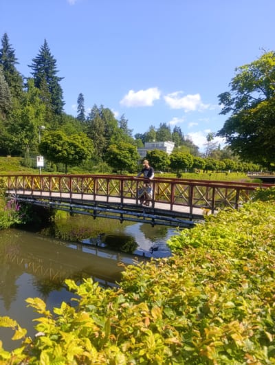This image depicts a man standing on a wooden bridge that spans a body of water. The bridge has red and yellow railings. The man is wearing a black t-shirt and a baseball cap. He is accompanied by a young child. The environment is lush and green, with a variety of trees and bushes surrounding the water. In the background, a white building with multiple windows is visible, nestled amongst the trees. The sky is clear blue with a few white clouds. The scene appears to be a park or garden area. The building in the background is the Hotel Miramare in Luhačovice, Czechia.