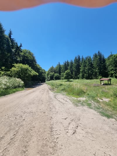The image depicts a rural dirt road in the city of Seltse, Bulgaria, bordered by lush green trees and a meadow. The sky is a clear, bright blue, indicating a sunny day. In the foreground, the dirt road shows signs of recent use, with tire tracks and some puddles of water, suggesting it might be a well-traveled path. On the right side of the road, a simple wooden picnic table with a roof is set up in the meadow, surrounded by wildflowers and tall grass. The scene conveys a sense of natural beauty and tranquility, characteristic of the Bulgarian countryside.
