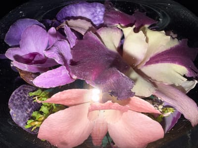 The image displays an arrangement of flower petals in various shades of purple, pink, and off-white, set against a dark, reflective background. The petals appear to be either floating in water or pressed beneath a transparent surface, such as glass, which also shows small white speckles that could be dust or particles.

In the upper and mid-sections, a dominance of purple hues is evident, ranging from vibrant light lavenders to deeper, rich purples, some appearing almost velvety. Several petals exhibit signs of slight wilting or drying, adding texture to the composition. Notable are off-white petals with distinct purple edges or streaks, forming partial flower shapes.

The lower part of the image features softer pink petals, some gathered to form a shape resembling a complete flower, which could be a reflection or an actual flower. Small clusters of green foliage or plant material are visible among the petals, particularly on the bottom left and right.

A prominent, bright light source is reflected near the center-bottom of the image, creating a strong circular glare that illuminates the surrounding petals. This reflection is a key visual element, reinforcing the impression of a smooth, glossy surface. The overall scene is static, resembling a still life. No text is visible in the image.