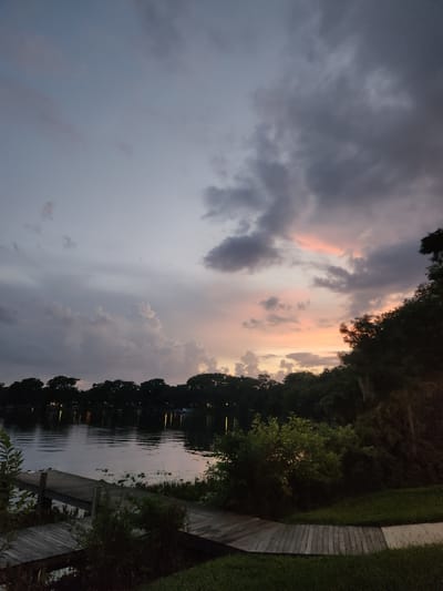 The image depicts a serene twilight scene at Lake Osceola in Winter Park, Florida, USA. A wooden dock extends into the calm water, which reflects the dusky sky and the silhouettes of trees lining the opposite shore. The sky is a canvas of muted blues and grays, interspersed with soft pink and orange hues from the setting sun. Wispy clouds drift across the horizon, adding depth and texture to the atmospheric portrayal of the end of the day. The foreground features lush green grass and dense foliage, with parts of the wooden dock also visible. No individuals are present in the scene.
