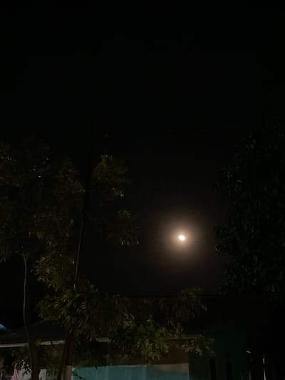 This image, captured at night in Tanjongkapai, Indonesia, displays a celestial body, likely the moon, positioned centrally in the upper half of a dark, clear sky. The moon is a bright, circular light source emitting a diffuse, yellowish-white glow. The scene is framed by two large trees with dense, dark green foliage, obscuring portions of the sky on the left and right sides of the image.
The lower section of the photograph reveals elements of a built environment. On the bottom left, a light-colored surface, possibly part of a building or roof, is partially visible beneath the tree line. In the central-bottom area, a structure with a light blue facade extends across the frame, with a horizontal darker line above it. To the bottom right, a darker teal-colored building section is present, featuring vertical dark striations that could indicate windows or architectural features. No human figures or discernible actions are present within the frame. The overall atmosphere is dark, illuminated primarily by the moon.
