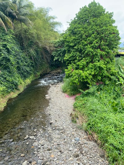 The image depicts a stream flowing between dense vegetation in Capesterre-Belle-Eau, France. The water is clear and shallow, revealing rocks on the streambed. The banks are lined with green foliage and a large tree with pink flowers. One bank is lined with gravel.