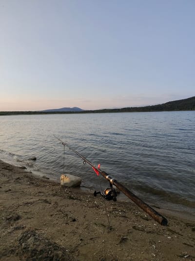 A fishing rod and reel rest on the sandy shore of a lake in Raianovtsi, Bulgaria. The rod is angled towards the water, with its line extending into the calm, rippling surface. A large, pale rock sits near the water's edge, partially submerged. The background features a distant, tree-covered hill and a clear, pale blue sky, suggesting it is late afternoon or early evening. The shore is a mix of sand and small pebbles, with some scattered seashells. There are no people visible in the scene.