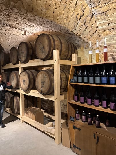 This photograph depicts an underground cellar located in Valmiermuiža, Latvia, strongly indicative of the Valmiermuižas alus brewery's storage facilities. The environment features rough-hewn, light-brown stone walls and an arched ceiling, characteristic of a natural or historically constructed cellar, illuminated by warm artificial light. The floor is a smooth, light-grey concrete surface.

Two prominent, multi-tiered shelving units, constructed from light-colored, unfinished wood, are arranged against the left wall, extending towards the center. These units are laden with numerous large, horizontal wooden barrels, each secured by dark metal bands. Various markings are visible on the ends of the barrels, including numbers and alphanumeric codes such as "867," "JAK27," "1015," "10012022," "10012023," "EL19," and "E19."

On the right side of the image, a dark wooden display cabinet with two doors featuring ornate black metal hinges and handles is positioned on the floor. Above this cabinet, a series of wooden shelves hold bottled beverages. The top shelf displays three slender, corked bottles containing liquids of distinct colors: light yellow, amber, and red. Below these, multiple rows of dark glass bottles are arranged, each with labels of varying hues, including bluish-grey and purplish tones. A small black sign displaying "2024" in white text is attached to the top bottle shelf, and another black sign with "2016" in white text is affixed to the cabinet, below the lowest row of bottles.

A single individual is partially visible on the far left of the frame, from the mid-torso down. They are wearing a dark hooded sweatshirt featuring a white Adidas logo on the right sleeve, blue jeans, and black and white Adidas athletic shoes. Their right arm is extended and slightly blurred, suggesting motion or gesturing towards the barrels.

Additional details include two open, light-brown cardboard boxes resting on the concrete floor beneath the left shelving unit, and a small, metallic, multi-hooked fixture hanging from the arched ceiling in the upper left section, adjacent to a pipe or conduit running along the stone wall.