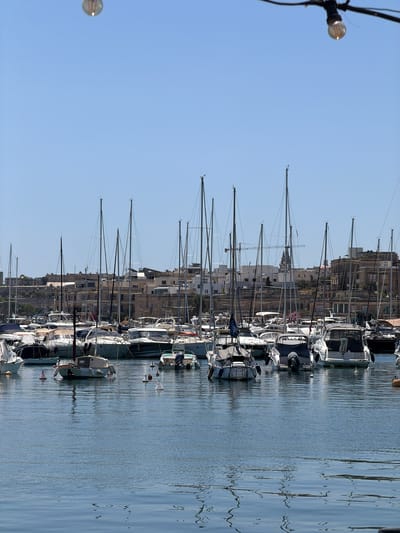 The image depicts a marina in Gżira, Malta, on a clear, sunny day. A cluster of sailboats and motorboats are moored in the calm, blue water. The boats are of various sizes, with many featuring white hulls and dark canopies. Some boats are closely packed, while others are more spaced out.
In the background, a waterfront cityscape with buildings of varying architectural styles rises behind the boats. These structures are predominantly light-colored, with many windows visible. The buildings are situated on a gently sloping hill. In the far distance, hints of a larger structure, possibly a church tower, can be seen.
Above the scene, a string of lights with exposed bulbs is visible in the upper portion of the frame, suggesting an outdoor dining or decorative lighting setup. The sky is a uniform, bright blue, with no clouds present. The water reflects the sky and the boats, creating a shimmering effect. There are no people visible in the image. The overall impression is one of a peaceful, well-maintained marina on a pleasant day.
