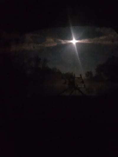 The image, captured at night, shows a low-lit scene, possibly in a wooded area. A bright light source, potentially the moon, is visible through the trees, creating a strong glare. Silhouetted power lines and utility poles are visible against the light. The surrounding environment appears dark and undefined. It is not possible to confirm the image's location as Gavisse, France, based on the visual information alone. No people or interactions are visible.