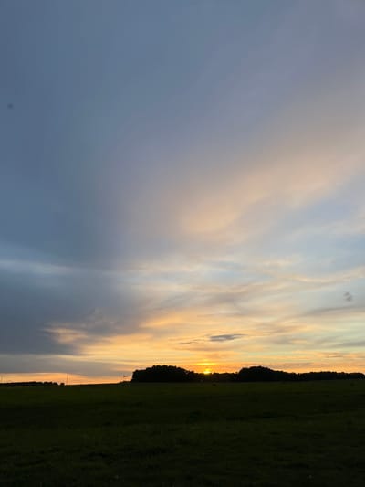 The image shows a sunset view in what appears to be a rural or edge-of-town location. The sky transitions from a dark blue-gray on the left to a vibrant orange-yellow toward the horizon on the right. Wispy clouds are visible throughout the sky, colored by the sunset. A dark green field occupies the right side of the frame, with a line of trees marking the boundary between the field and the sky. The sun is setting on the horizon, casting a bright light between the trees. There are what appear to be power lines in the distance. The location is Новочувашский, Russia.