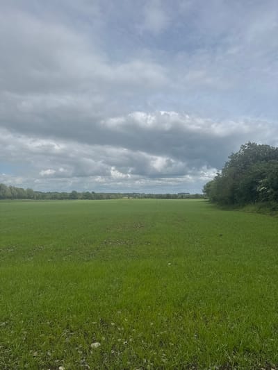 The image presents a serene, expansive landscape under an overcast sky, likely captured in Curtistown, Ireland. The scene is divided into two primary elements: a vast green field and a cloudy sky, separated by a distant treeline.
The foreground and midground are dominated by a lush, vibrant green grass field, stretching broadly across the lower portion of the image. The grass appears well-maintained and dense, with subtle variations in texture and tone, suggesting natural growth in an open area. To the left, a large, mature tree with dark green foliage anchors the scene, its branches extending into the upper left quadrant.
Along the distant horizon, a continuous line of trees forms a dark, undulating band, indicating a wooded area or forest bordering the field. The sky occupies the upper half of the image, filled with numerous clouds ranging from light gray to darker, denser formations. There are patches of lighter blue-gray sky visible between the clouds, suggesting an overcast but bright daytime.
No people, animals, or artificial structures are visible, contributing to a sense of natural tranquility and openness. The weather appears cloudy, with no direct sunlight visible. There is no visible text in the image. The overall impression is that of a peaceful rural or park setting, characterized by natural greenery and a wide, open sky.