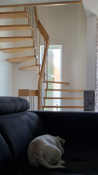 The image captures an interior view of a modern home, likely in Ichenhausen, Germany. The primary subjects are a staircase and a dog. The staircase is a prominent architectural feature, constructed with light-colored wood and metal railings, exhibiting a contemporary design. It appears to be a multi-level structure, ascending towards a landing with a window. The window is large and features a textured or frosted glass, allowing diffused natural light to enter the space. Outside the window, hints of greenery suggest a pleasant outdoor environment, possibly indicating daytime.

In the foreground, a dark gray armchair is visible, partially obscuring the lower portion of the staircase. Curled up comfortably on the armchair is a light-colored dog, appearing to be asleep or resting. Its body is tucked in, forming a compact ball. The dog's fur is fluffy, and its tail is curled around its body.

The overall scene suggests a quiet, domestic setting. The lighting is soft, indicating it might be daytime, with the sunlight streaming through the window. The room appears clean and minimalist, with neutral wall colors and the simple design of the staircase contributing to a serene atmosphere. There are no discernible people in the image, and no visible text. The image evokes a sense of peace and domestic tranquility, with the sleeping dog adding a touch of coziness to the modern architectural space.