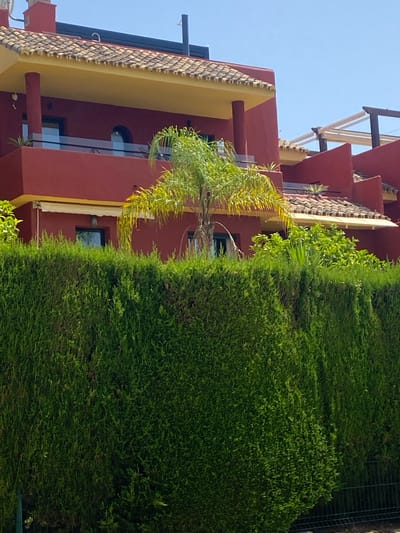 This is a medium shot, exterior, eye-level, slightly angled, daytime, full-color photograph of a section of a two-story building in Bel Air, Spain, partially obscured by a dense, tall green hedge in the foreground. The building features a red-painted facade, tan tile roofs, and yellow overhangs. A balcony with a glass railing is visible on the upper level. A slender palm tree with sparse fronds grows in front of the building. The sky is clear and blue. A metal fence runs along the bottom right of the image, partially visible behind the hedge.