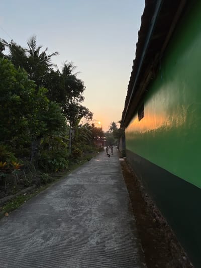 The image depicts a concrete road in Tambakreja, Indonesia, at sunset. Lush green foliage lines the left side of the road, with palm trees reaching towards the sky. On the right, a vibrant green building with a dark trim dominates the frame, its wall reflecting the warm glow of the setting sun. The sky is a soft gradient of pale blue and orange, typical of dusk. A few figures, appearing to be children, walk along the road in the distance, accompanied by a small black dog. The road itself has a textured surface with parallel grooves. The scene evokes a sense of tranquility and everyday life in a tropical setting.