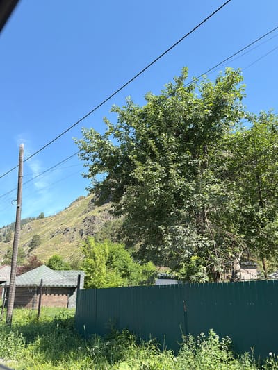 The image shows a rural scene with a clear blue sky and a large green tree in the foreground. A dark green metal fence runs horizontally across the lower half of the image. Behind the fence, a building with a green roof is visible, along with more trees and a steep, grassy mountainside in the background. A wooden utility pole stands on the left side of the frame, with power lines stretching across the sky. The scene appears to be a sunny day. The location is identified as Uznezya, Russia. There are no people or animals visible in the image.